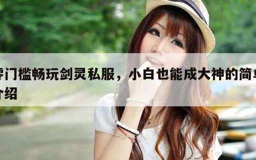 零门槛畅玩剑灵私服，小白也能成大神的简单介绍