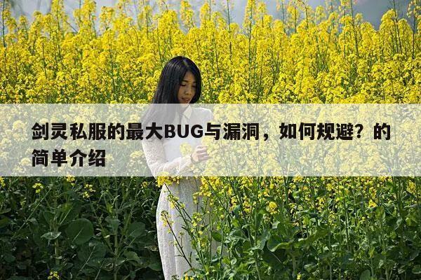 剑灵私服的最大BUG与漏洞，如何规避？的简单介绍