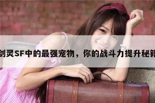剑灵SF中的最强宠物，你的战斗力提升秘籍