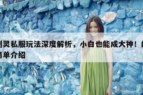 剑灵私服玩法深度解析，小白也能成大神！的简单介绍