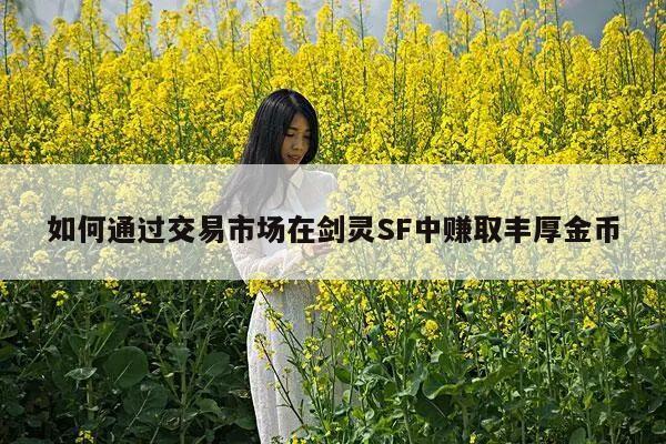 如何通过交易市场在剑灵SF中赚取丰厚金币