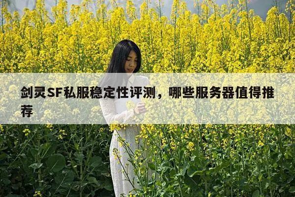 剑灵SF私服稳定性评测，哪些服务器值得推荐