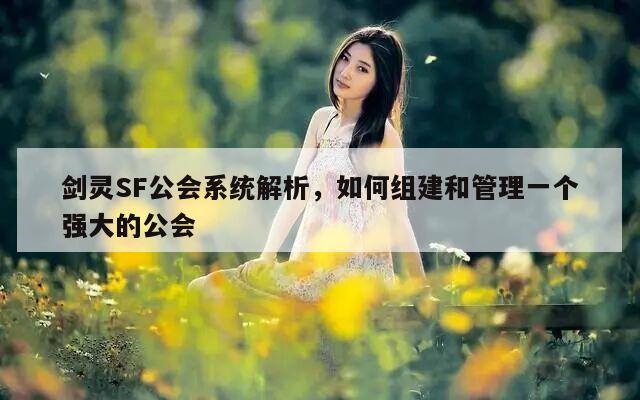 剑灵SF公会系统解析，如何组建和管理一个强大的公会