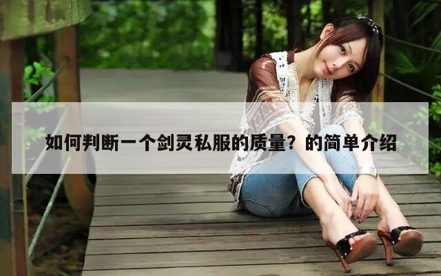 如何判断一个剑灵私服的质量？的简单介绍
