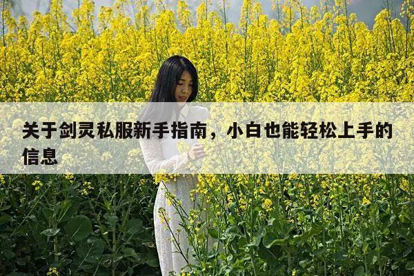 关于剑灵私服新手指南，小白也能轻松上手的信息