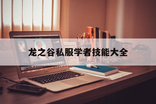 龙之谷私服学者技能大全