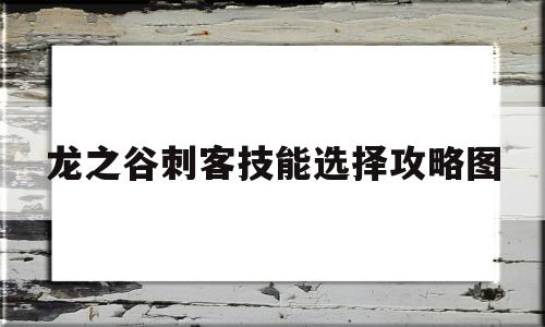 龙之谷刺客技能选择攻略图