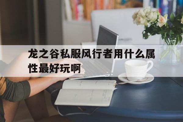 龙之谷私服风行者用什么属性最好玩啊的简单介绍