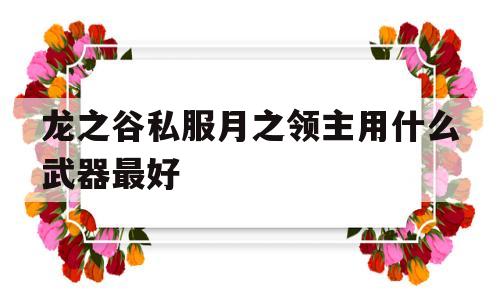 龙之谷私服月之领主用什么武器最好的简单介绍