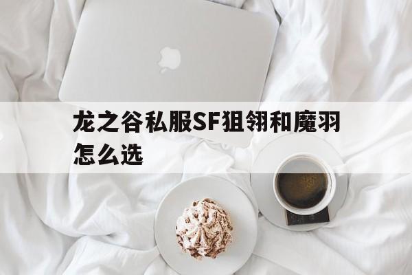 关于龙之谷私服SF狙翎和魔羽怎么选的信息