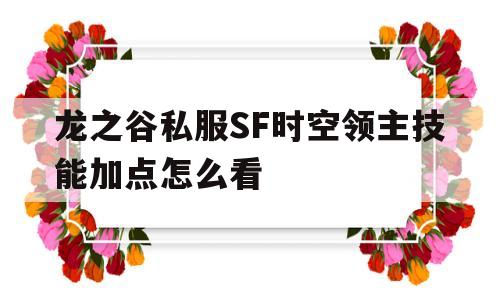 关于龙之谷私服SF时空领主技能加点怎么看的信息