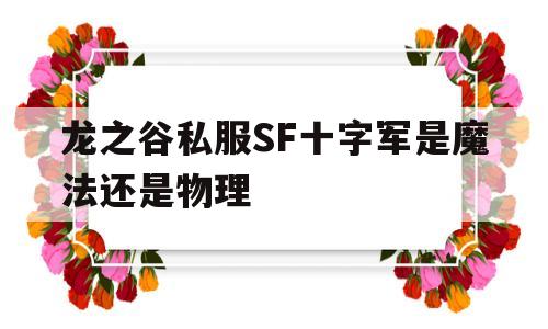 龙之谷私服SF十字军是魔法还是物理的简单介绍