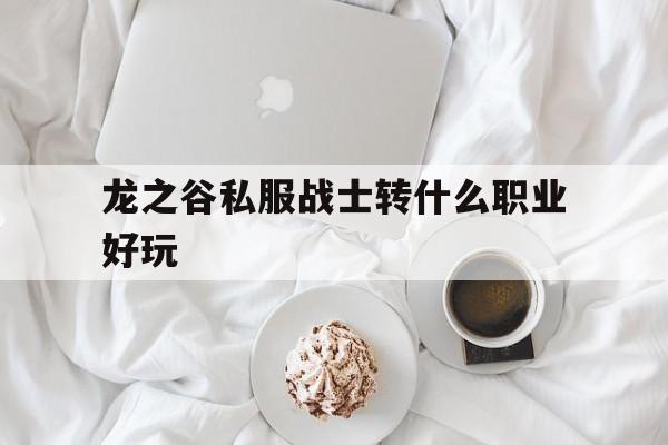 关于龙之谷私服战士转什么职业好玩的信息