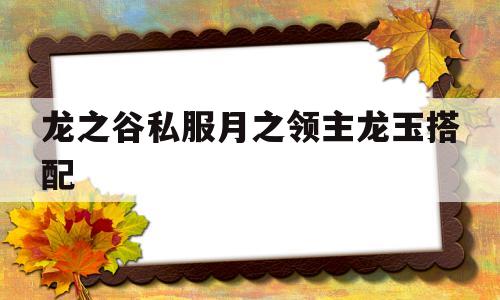 龙之谷私服月之领主龙玉搭配的简单介绍