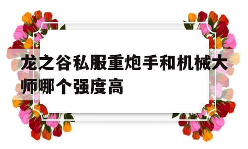 关于龙之谷私服重炮手和机械大师哪个强度高的信息