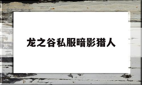 包含龙之谷私服暗影猎人的词条