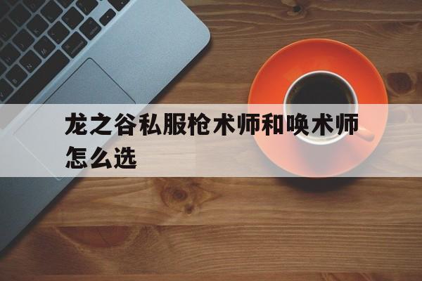 龙之谷私服枪术师和唤术师怎么选的简单介绍