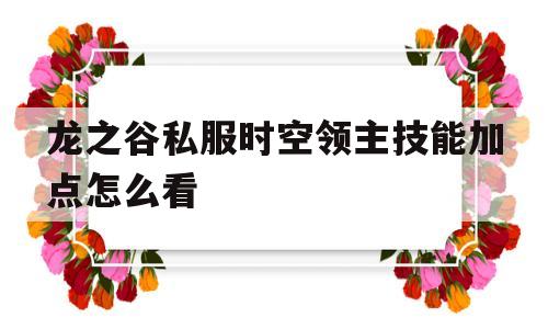 龙之谷私服时空领主技能加点怎么看的简单介绍