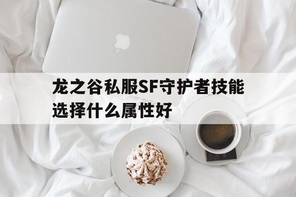 龙之谷私服SF守护者技能选择什么属性好的简单介绍