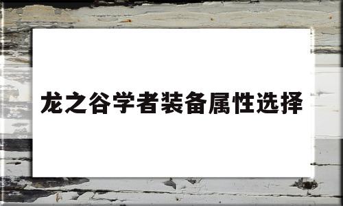 龙之谷学者装备属性选择