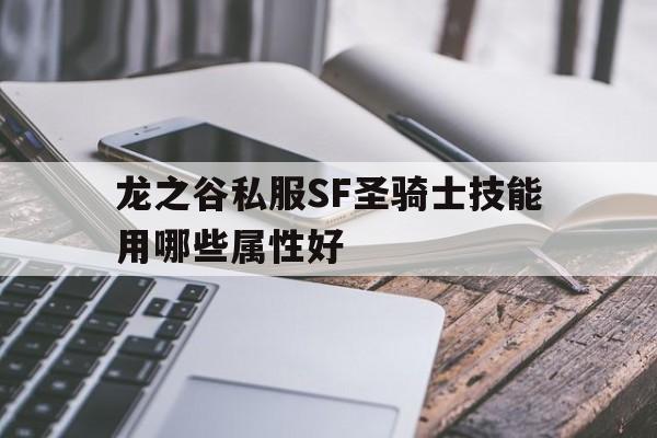 关于龙之谷私服SF圣骑士技能用哪些属性好的信息