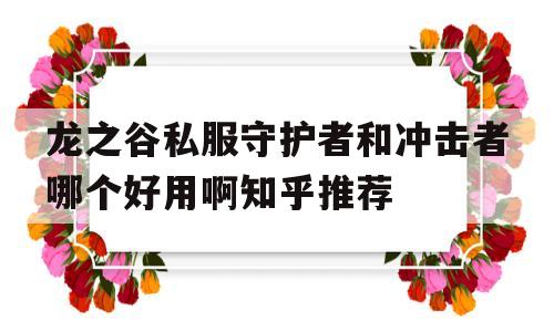 包含龙之谷私服守护者和冲击者哪个好用啊知乎推荐的词条