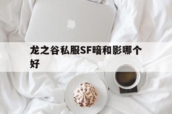 关于龙之谷私服SF暗和影哪个好的信息