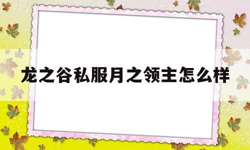 龙之谷私服月之领主怎么样