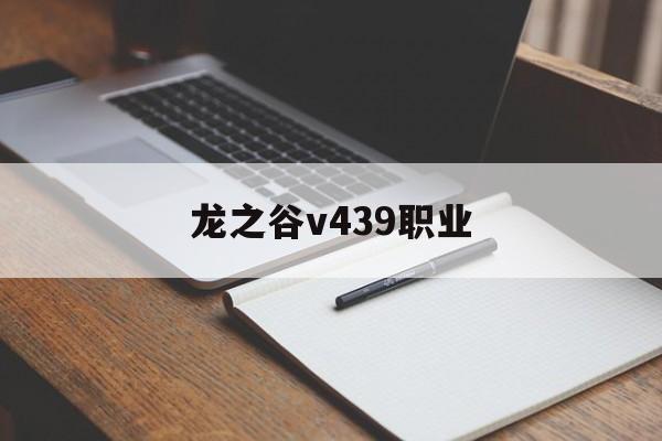 龙之谷v439职业