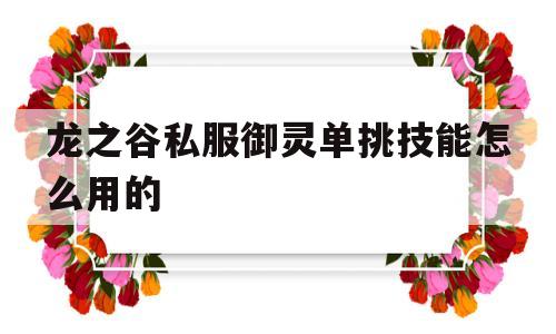 关于龙之谷私服御灵单挑技能怎么用的的信息