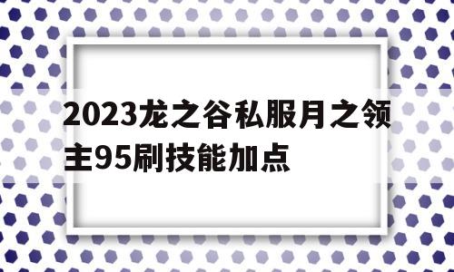 2023龙之谷私服月之领主95刷技能加点的简单介绍