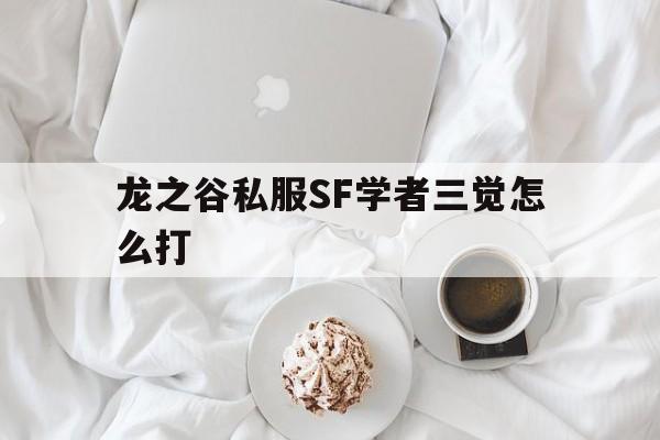 关于龙之谷私服SF学者三觉怎么打的信息