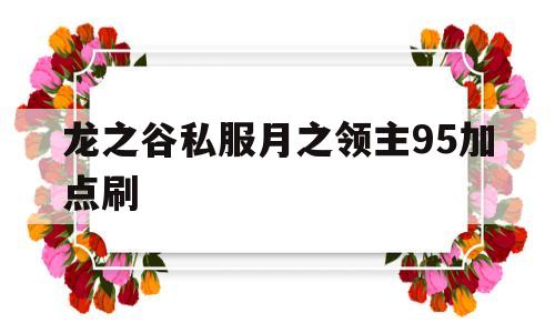 龙之谷私服月之领主95加点刷