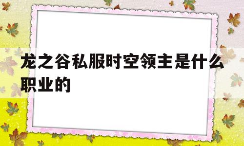 龙之谷私服时空领主是什么职业的