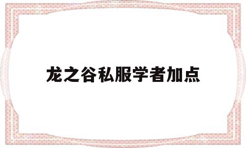 龙之谷私服学者加点