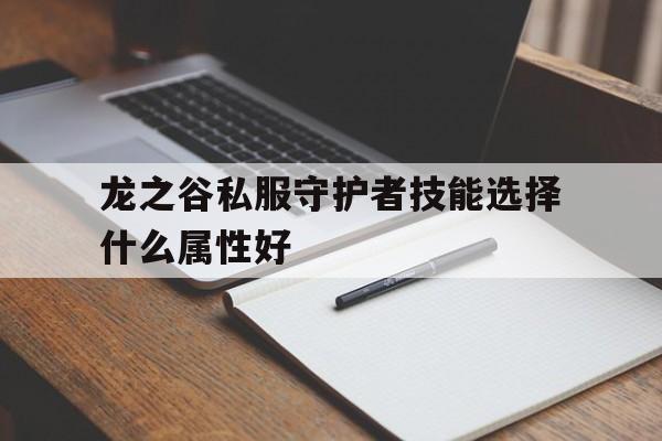 龙之谷私服守护者技能选择什么属性好的简单介绍