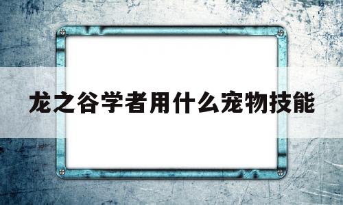 龙之谷学者用什么宠物技能