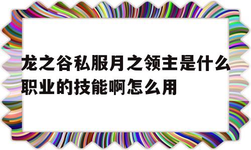 龙之谷私服月之领主是什么职业的技能啊怎么用的简单介绍