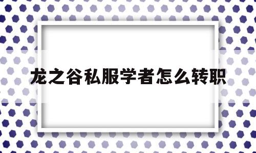 龙之谷私服学者怎么转职