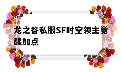 龙之谷私服SF时空领主觉醒加点