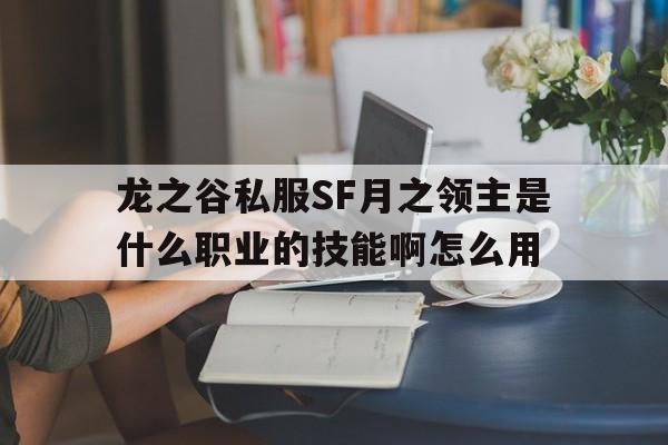 龙之谷私服SF月之领主是什么职业的技能啊怎么用的简单介绍