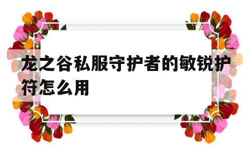 龙之谷私服守护者的敏锐护符怎么用的简单介绍