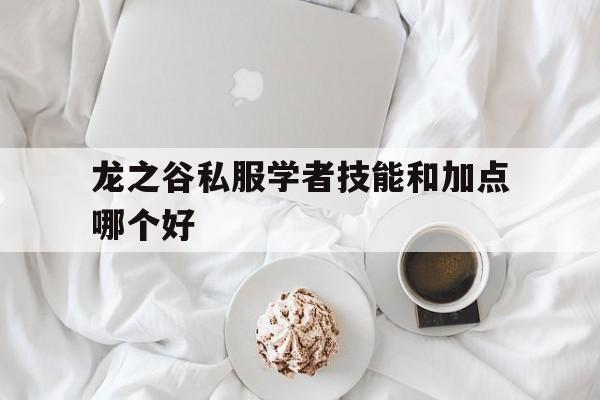 包含龙之谷私服学者技能和加点哪个好的词条