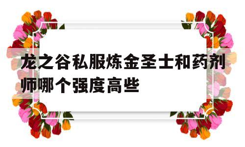 关于龙之谷私服炼金圣士和药剂师哪个强度高些的信息