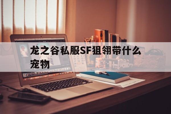 关于龙之谷私服SF狙翎带什么宠物的信息