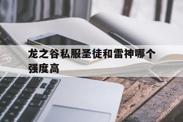 关于龙之谷私服圣徒和雷神哪个强度高的信息