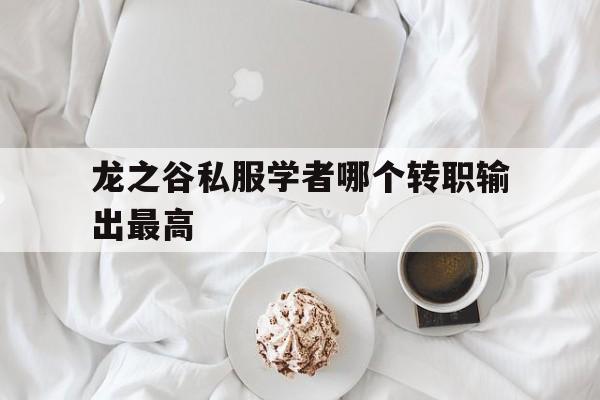 龙之谷私服学者哪个转职输出最高