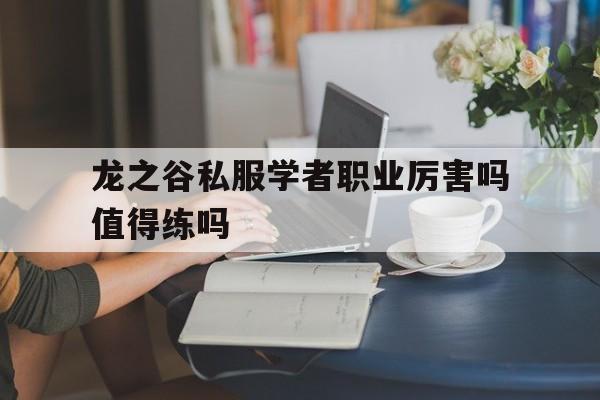 龙之谷私服学者职业厉害吗值得练吗的简单介绍