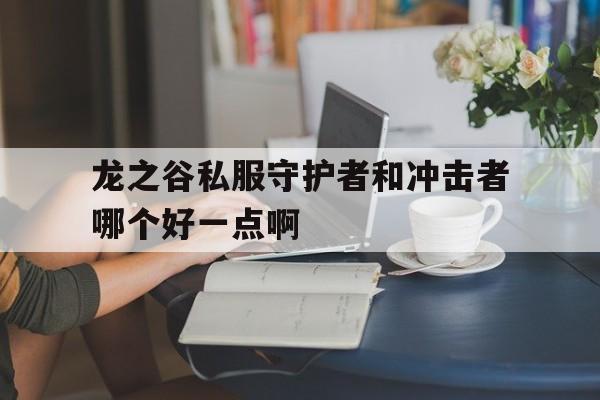 龙之谷私服守护者和冲击者哪个好一点啊的简单介绍