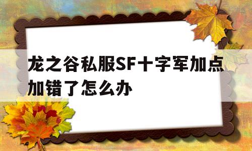 龙之谷私服SF十字军加点加错了怎么办的简单介绍